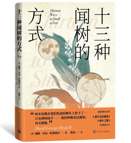 (千里耳指什么)神奇功法咒语传万里，千里耳报功法咒语启秘籍